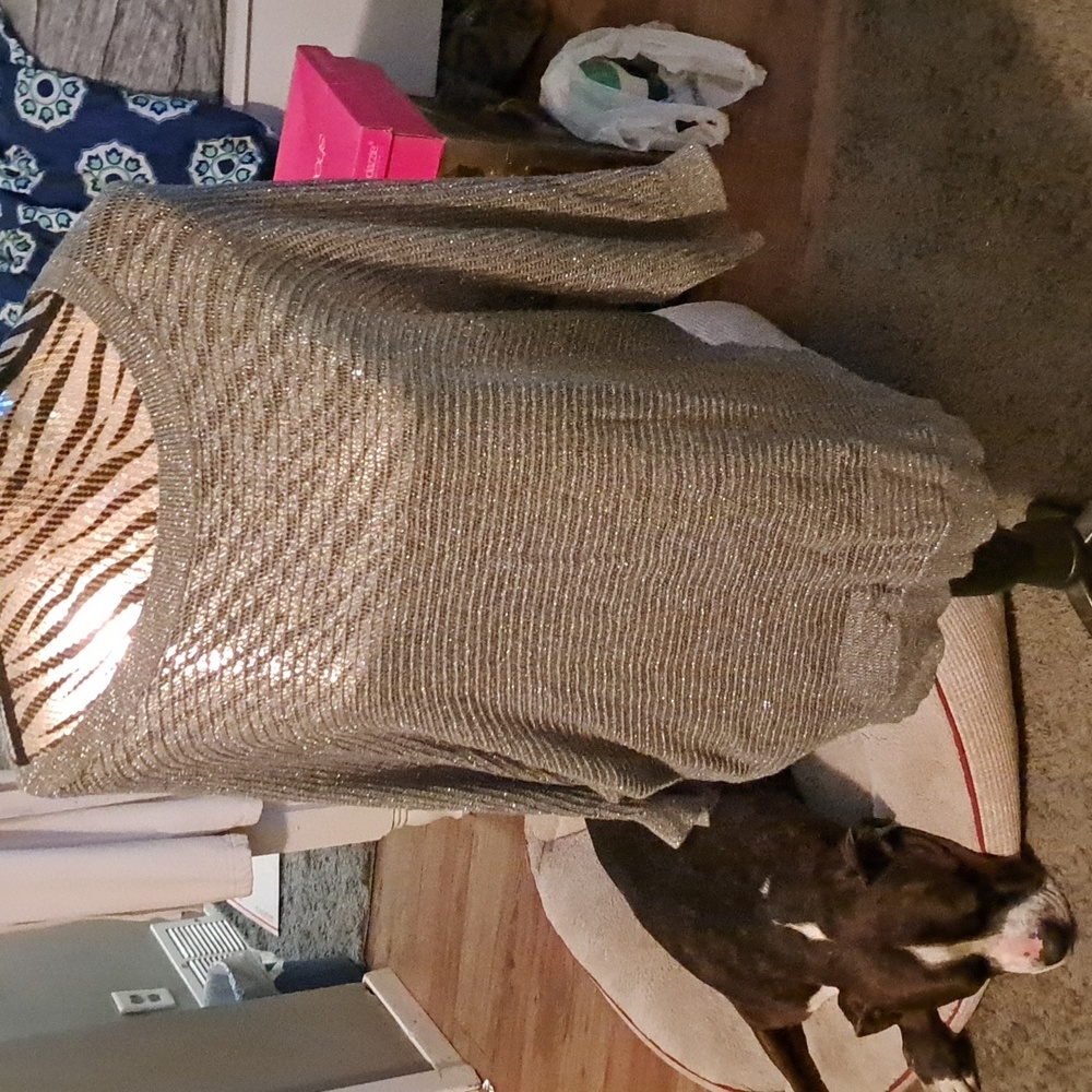 Express sweater